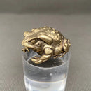 Brass Crouching Toad Frog Totem / Spirit Animal Mini Figurine FB2682 🐸