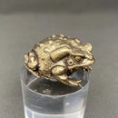 Brass Crouching Toad Frog Totem / Spirit Animal Mini Figurine FB2682 🐸