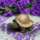 Brass Domed Shell Turtle Spirit / Totem Animal Figurine🦎 FB1451