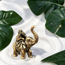 Brass Elephant with Cabbage, Good FortuneFB1437 🐘🥬🐘