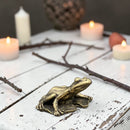 Brass Frog on Lotus Leaf Totem/ Spirit Animal Mini Figurine FB2800 👒