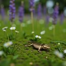 Brass Gecko Totem / Spirit Figurine FB1286 💖🦎💖