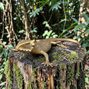 Brass Giant Lizard Totem / Spirit Animal Mini Figurine FB2627 🦎