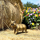 Brass Happy Pig Totem / Spirit Animal Figurine FB2636 🐖🌸🐖