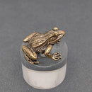 Brass Leaping Frog Totem / Spirit Animal Mini Figurine FB2686 🍀