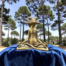 Brass Zen Frog Meditating Crossed Legs / Spirit Animal Mini Figurine FB2732 👒