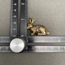 Brass Rabbit Totem / Spirit Animal Mini Figurine FB1151 🐇