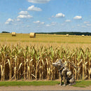 Brass Sitting Shepherd Figurine Animal / Spirit Totem FB2229 🐎