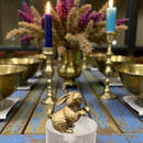 Brass Rabbit / Standing Bunny Totem / Spirit Animal Mini Figurine FB1667 🐇