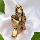 Brass Wolf in Cloak Totem / Spirit Figurine 🐉 FB3506