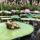 Brass Zen Frog on Belly Totem / Spirit Animal Mini Figurine FB2699 👒