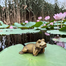 Brass Zen Frog on Belly Totem / Spirit Animal Mini Figurine FB2699 👒