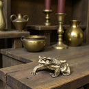 Brass The Toad Frog Totem / Spirit Animal Mini Figurine FB1140 🦊