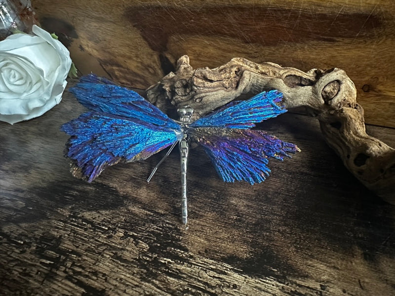 Iridescent Titanium Aura Black Kyanite Dragonfly FB3312