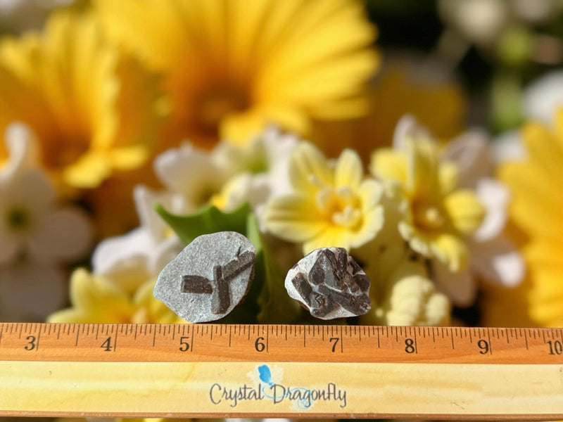 Staurolite (Fairy's Cross) natural formations FB1254 🧡