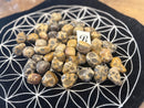 Tumbled Leopardskin Jasper for animal bonding, vitality, and healing FB1293