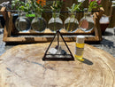 Crystal Energy Terrariums, Complete Collections with Intention FB1201