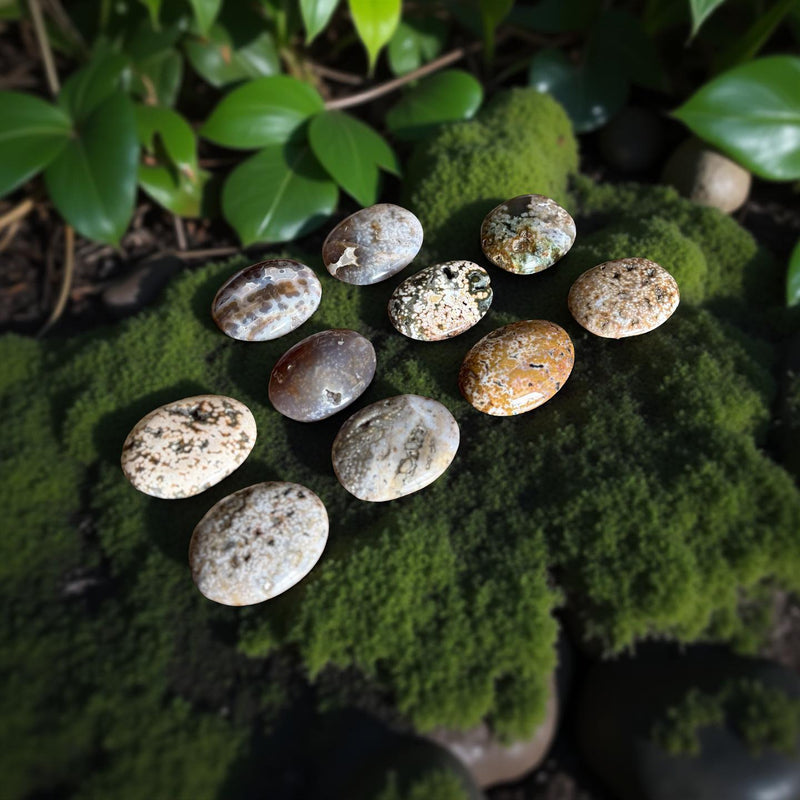 Ocean Jasper Flat Oval Hand Pebbles for joy, happiness and contentment FB1359 🧡