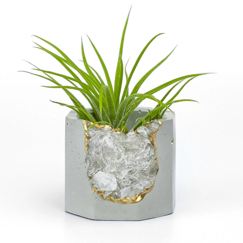 Crystal Air Plant, Small Plant or treasure Holder - Geode Planter Pot FB3190