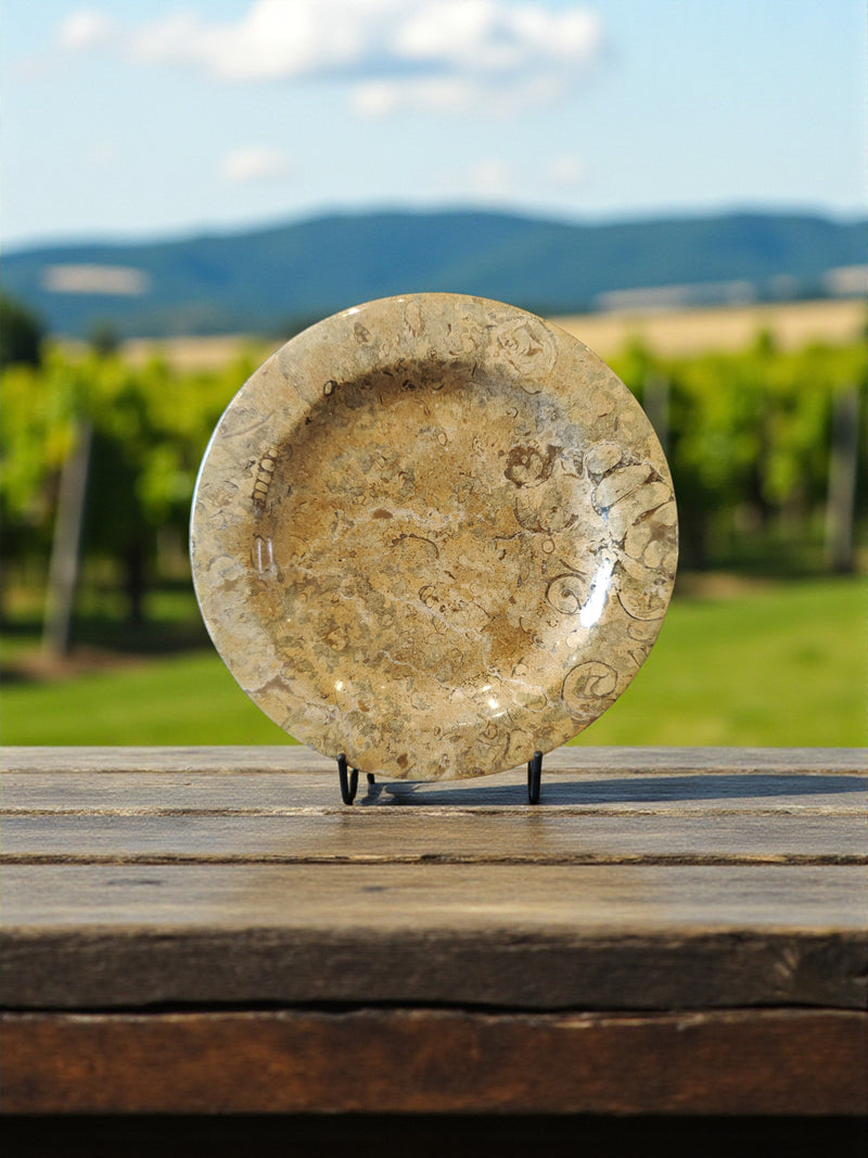 Coral Fossil Decorative Plate 8" 🌕🪭🌕 RE8446