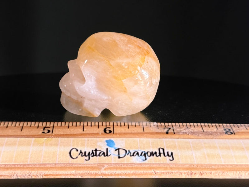 Golden Healer Skull, regeneration FB2994 🏜️