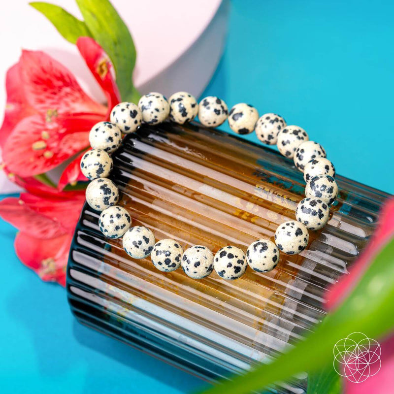 Emotional Detox - Dalmatian Jasper Bracelet CI597 🐢