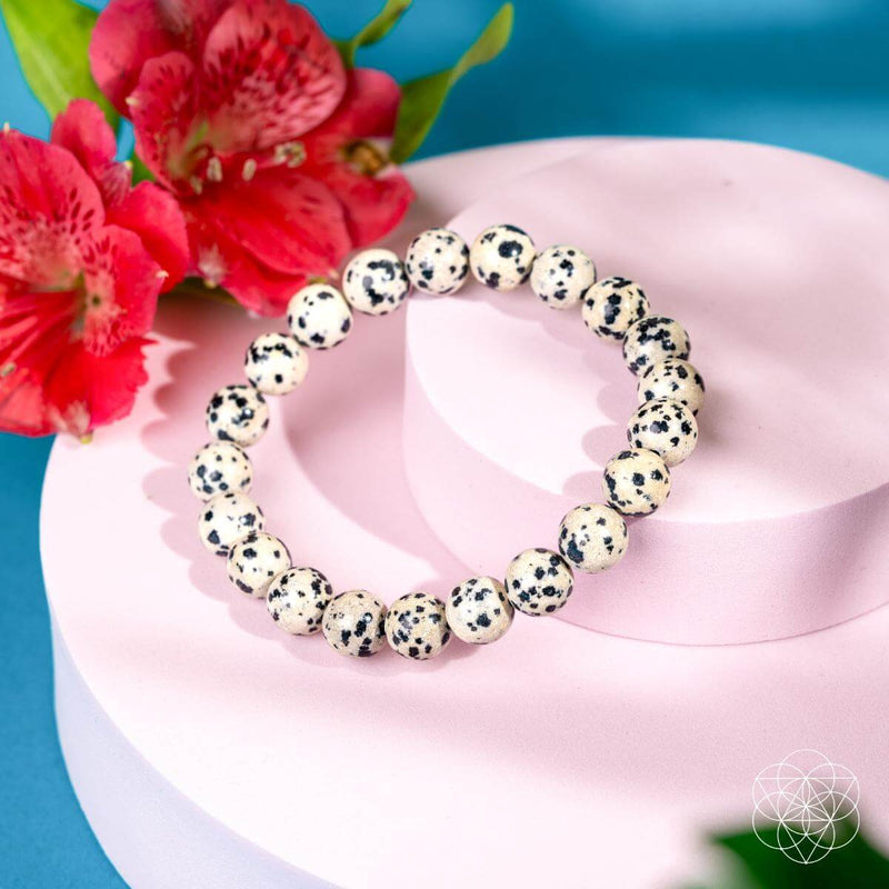 Emotional Detox - Dalmatian Jasper Bracelet CI597 🐢