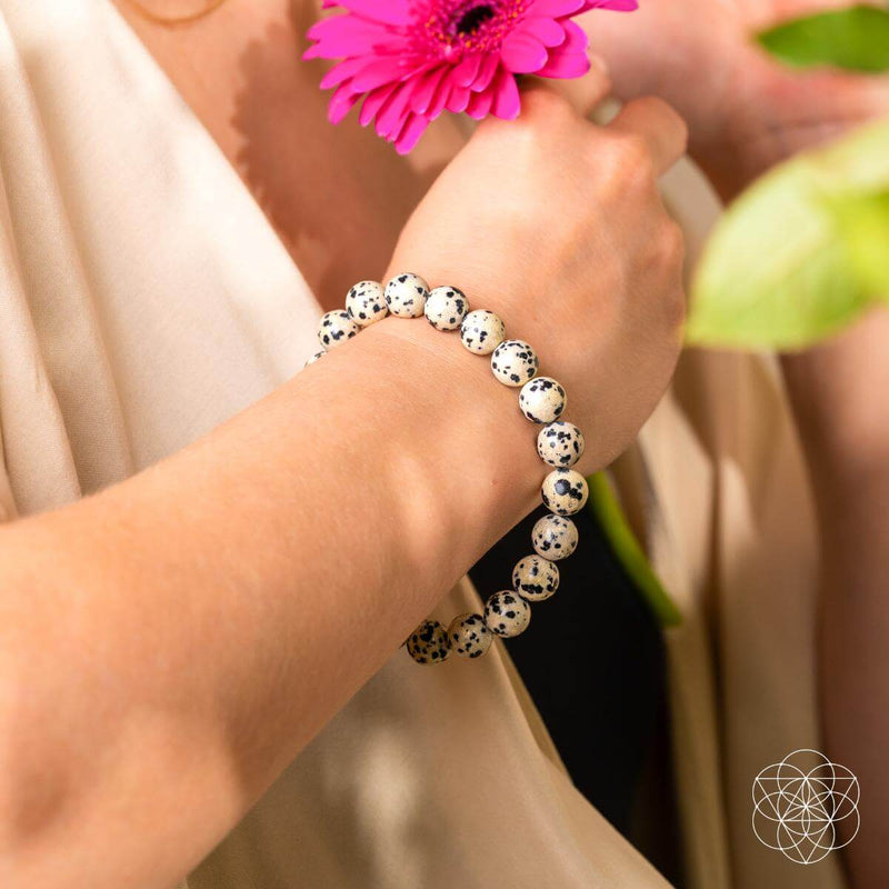 Emotional Detox - Dalmatian Jasper Bracelet CI597 🐢