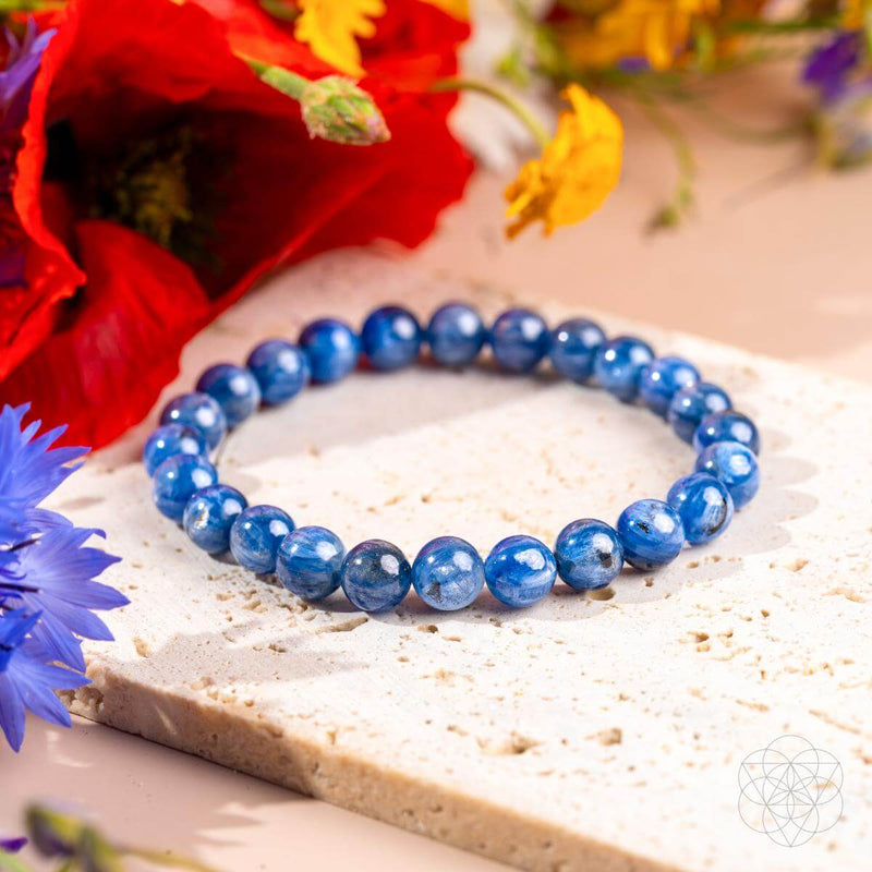 Rare Polished Kyanite Bracelet - My Truth, My Power – CI601 💜