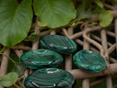 Malachite Worry Stones from South Africa FB3301 🌿