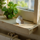 Apophyllite and Stilbite Cluster FB1575 🦚