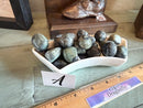 Tumbled Kambaba Jasper for soothing nerves