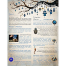 Evil Eye Protection Double Sided Information Chart FB3482 💙🧿💙