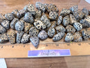 Tumbled Dalmatian Jasper - Teamwork, Cooperation, Strengthens Friendships