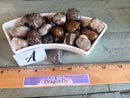 Tumbled Pietersite - The Tempest Stone, for willpower, courage and energizing