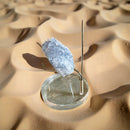 Celestite Clusters from Madagascar - Angelic Realm Crystal FB1306 🌸