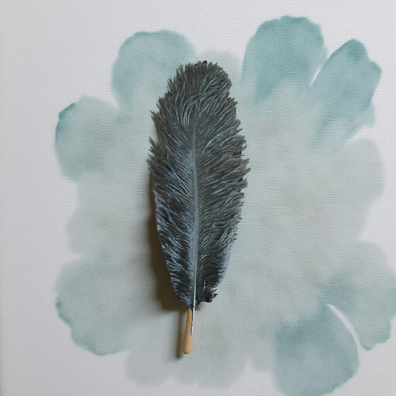 Black Ostrich Feather for Smudging, Large 10" to 14" FB3177🪶