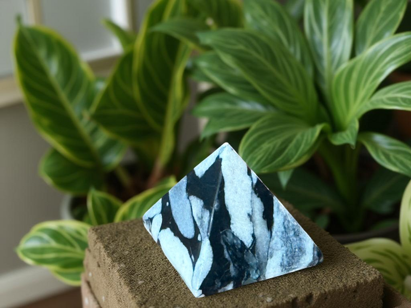 Crysanthemum Stone Pyramid FB3340 🌵