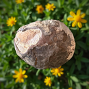 Septarian  Dragon Stone Polished Nodule Slab for balance and tranquility FB1746 💛