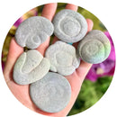 Quebec Fairy (Concretion) Stone for protection FB1884 🧚‍♀️