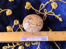 Flower Agate Polished Hand Pebble & Palm Stone FB2205 🌸