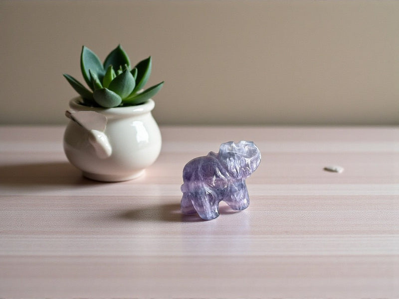 Elephant Totem/Spirit Animal Carving, Fluorite FB2060 🐘