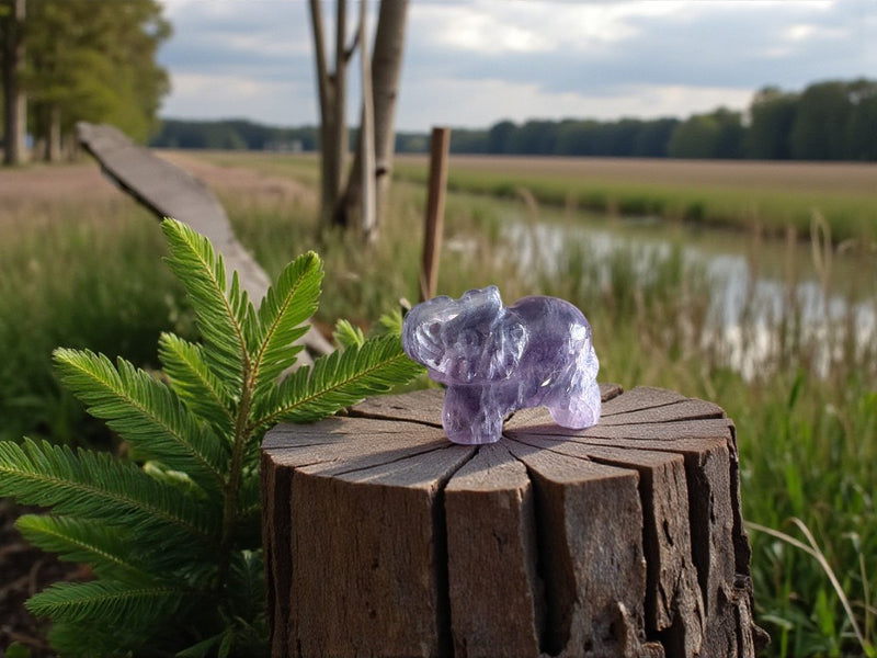 Elephant Totem/Spirit Animal Carving, Fluorite FB2060 🐘