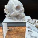 Gray Agate "Bowl" Skull with cluster back FB1190 🐊