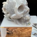 Gray Agate "Bowl" Skull with cluster back FB1190 🐊