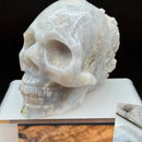 Gray Agate "Bowl" Skull with cluster back FB1190 🐊