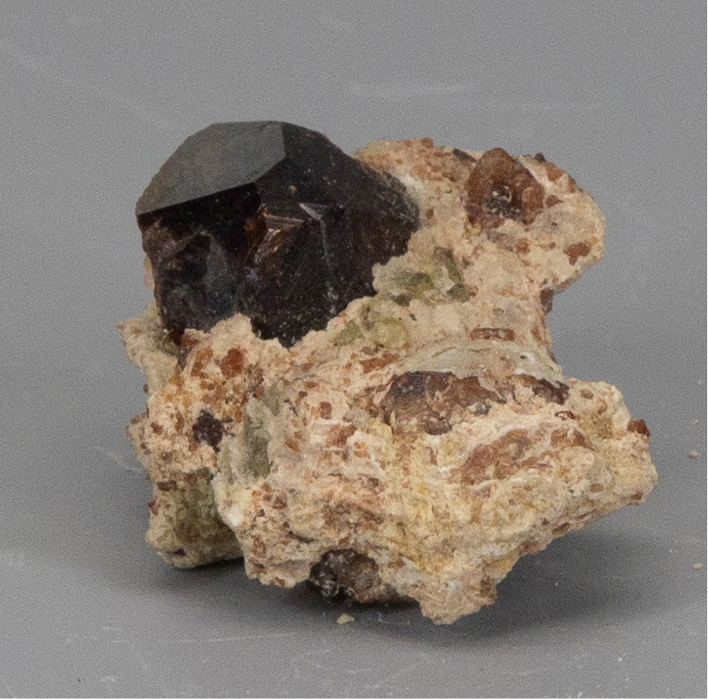 Garnet Raw Cluster In Matrix 🪭🦢🪭 CD-10185