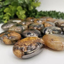 Rare Golden Healer with Pyrite, AAA Quality Palm Stone FB1168 🐢