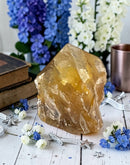 Golden Healer Natural / Rough Points FB1956 💙