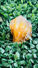 Golden Healer Natural / Rough Points FB1956 💙